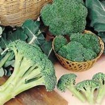 Natural Organic Broccoli  Seeds, good taste healthy green vegetables IWSC012S  - $10.00