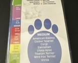 10 NEW Pawz Medium Blue Rubber Dog Boots Reusable Waterproof Protex - $12.19