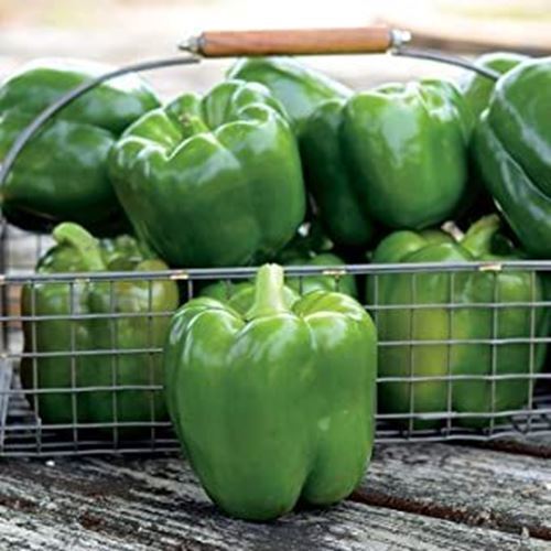 PM Park&#39;s Whopper II Hybrid Bell Pepper Seeds (25+ Seeds) - $3.98
