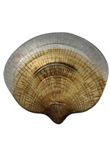 Shell Shaped Glass Bowl Painted Gold Seashell Plate Dish Beach Sea Decor Serving - £11.61 GBP