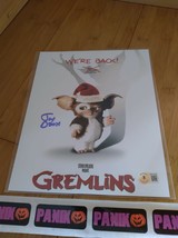 Gremlins Santa Hat Gizmo Joe Dante Signed 8x10 Autograph Beckett COA - £31.59 GBP