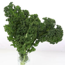 SHIP FROM US ORGANIC VATES BLUE CURLED KALE- 250 SEEDS PACKET-NON-GMO TM11 - £14.81 GBP