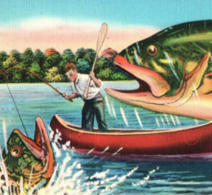 The Fishing Is Great Here Postcard Linen Vintage Humor Fishermen Big Fish Albany - £12.63 GBP