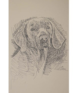 ORIGINAL WEIMARANER DOG ART Lithograph #42 Kline adds your dogs name fre... - $49.45