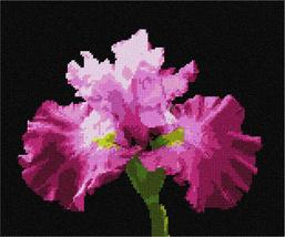 Pepita Needlepoint Canvas: Blossom Up Close, 12&quot; x 10&quot; - £68.49 GBP+