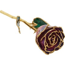 24K Gold Trimmed Lacquered Long Stem Purple and Pink Rose - £134.60 GBP