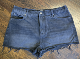 BDG Womens High Rise Jean Cut Off Shorts Size 33 Black Raw Hem Distressed - $19.95