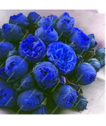 HOT NEW 20  pcs Seed Passion Flower, Passiflora Incarnata Certified Pure... - $7.09