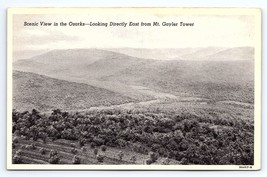 Postcard Scenic View Ozarks East from Mt. Gayler Tower Arkansas AR - £2.80 GBP