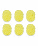 TheBrainDriver tDCS Replacement Sponges - 6 Sets - $11.99
