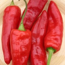 20 Red Marconi Pepper Seed Beautiful Red Italian Pepper Sweet Fresh Garden - £7.10 GBP