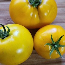 Lemon Boy Tomato Seeds US Fast Shipping - $37.22 MXN