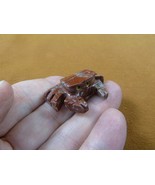 (Y-CRA-3) little red gray Crab SOAPSTONE stone figurine Pachygrapsus lov... - $170.87 MXN