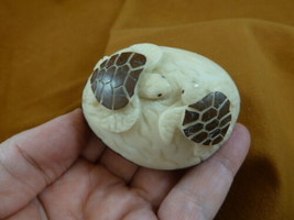 (TNE-T-SEA-212-C) pair of Sea Turtles TAGUA NUT Figurine carving little turtle - £23.84 GBP