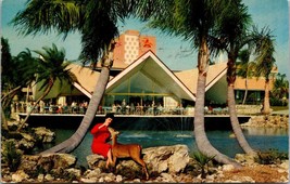 Hospitality House Overlooking Beautiful Lagoon Busch Gardens Tampa Florida - £7.84 GBP