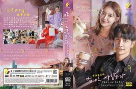 KOREAN DRAMA~The Law Cafe(1-16End)English subtitle&amp;All region - £22.27 GBP