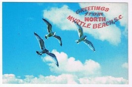 Florida Postcard Greetings From North Myrtle Beach - £2.21 GBP