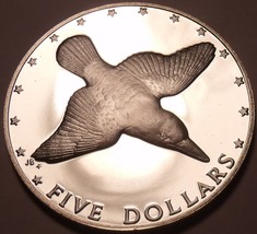 Rare Silver Proof Cook Islands 1976 ~28,000 Minted~Mangara Kingfisher~Fr/Sh - £34.16 GBP
