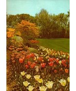 New Illustrated Encyclopedia of Gardening-vol.10 (New Illustrated Encycl... - $14.18