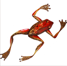 Eangee Home Design Frog Wall Decor Red - £35.79 GBP
