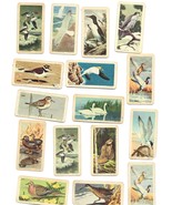 32 Brooke Bond Cards-Birds of North America-Red Rose Tea - €26,05 EUR