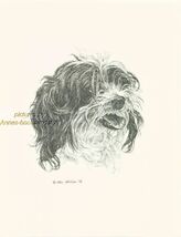 #143 Mixed breed dog II *  dog art print * Pen and ink drawing * Jan Jel... - $12.50