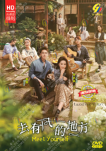 DVD Chinese Drama Series Meet Yourself  Volume.1-40 End English Subtitle - £64.61 GBP