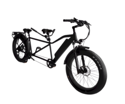 Eco-Adventure Awaits | Fat Tire Electric Tandem Bike - £2,317.33 GBP