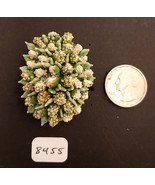 Vintage Czechoslovakia Large Flower Bouquet Pin Missing Some Flowers - £6.27 GBP
