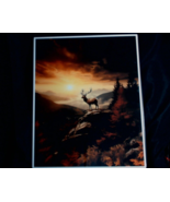 KM Custom Art Design - 16x20 &quot;Elk in the Fall Mountains&quot; Framed Fine Art... - $26.63 CAD