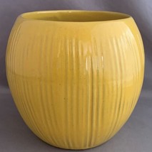 Frankoma Coconut T7 Club Trade Winds Tiki Mug Yellow Tang Rare - $30.00