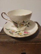 Regency Bone China Tea Cup and Saucer England Magnolia? Christmas Rose? ... - £13.69 GBP