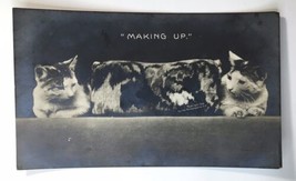 1906 Super Cute Making Up 2 Cats Looking at Each Other Kitty RPPC Rotogr... - £14.33 GBP