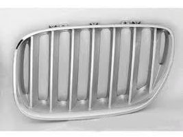SimpleAuto Grille assy left side for BMW X5 2004-2006 - £81.01 GBP
