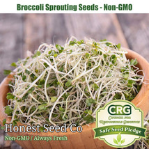 Broccoli Seeds For Sprouting  Fresh Sprouting Seeds - $22.00
