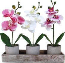 This Set Of Three Small Artificial Orchid Potted Plants Is A Great Centerpiece - £29.73 GBP