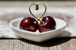 10 Hedelfingen Cherry Seeds Usa Fast Shipping - $8.99