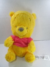 Disney Parks Plush Baby Winnie the Pooh Lovey 10&quot; Big Head Sitting Sewn Eyes EUC - £11.20 GBP