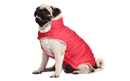 Cozy Cotton Dog Coat Vest - Stylish European And American Style For All Genders - £13.97 GBP+