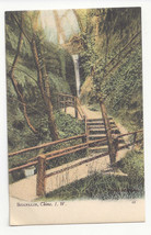 UK England Isle of Wight Shanklin Chine Bridge Waterfall J Welch Postcard c1910 - $5.69