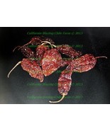 2 ounce Whole Dried Ghost Pepper Insanely HOT! - €11,57 EUR