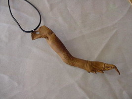 (EL1000-14) Real Cane TOAD toads LEG Necklace Leather WEIRD Aussi outback - $13.09