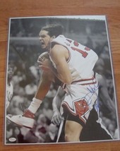 Joakim Noah Chicago Bulls Autographed B/W 16&quot; x 20 &quot;picture with COA JSA - £78.28 GBP