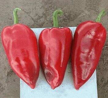 Lipstick Long Red Sweet Pepper Organic, 50 Seeds