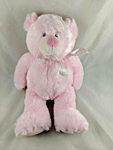 Baby Ganz My First Teddy Bear 14 Inch Plush BG2755 Stuffed Animal toy - £11.51 GBP