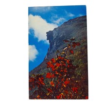 Postcard Old Man Of The Mountains Franconia Notch New Hampshire Chrome Unposted - £5.44 GBP