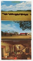 3 Philmonte Ranch New Mexico Postcards Boy Scouts of America  - £9.34 GBP