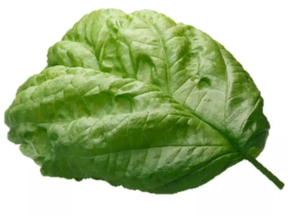 Item image 2