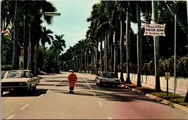 The Avenue of Palms Thomas Alva Edison&#39;s Estate Ft. Myers FL Postcard PC46 - £3.94 GBP