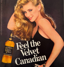 1984 Black Velvet Canadian Whiskey Advertisement Vintage Distillery DWU17F - $19.99